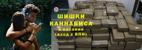 прущие грибы Кулебаки