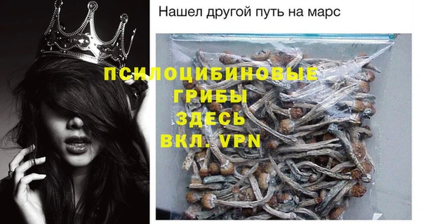 твердый Алексеевка