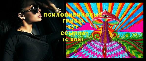 твердый Алексеевка