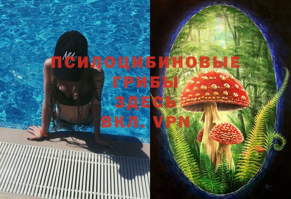 стаф Куйбышев