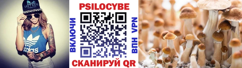 Галлюциногенные грибы Magic Shrooms  Северская 